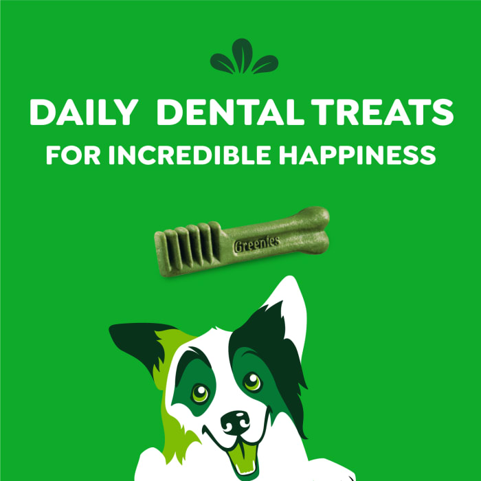 Greenies Dog Dental Treats Regular Original 36oz (36 Count)