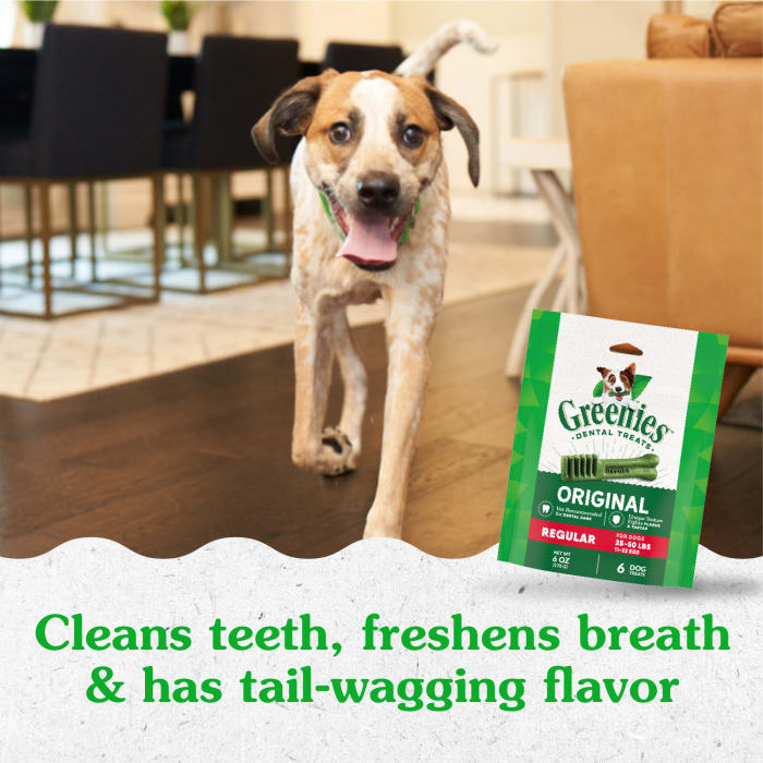 Greenies Dog Dental Treats Regular Original 6oz (6 Count)