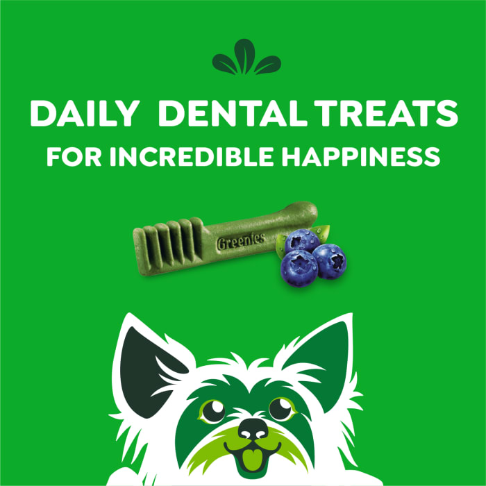 Greenies Dog Natural Dental Treats Teenie Blueberry 12oz (43 Treats)