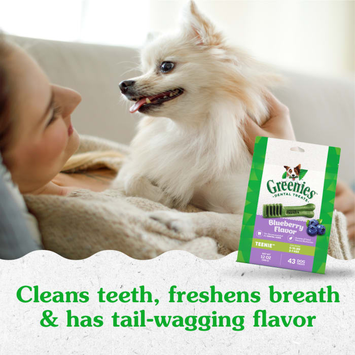 Greenies Dog Natural Dental Treats Teenie Blueberry 12oz (43 Treats)