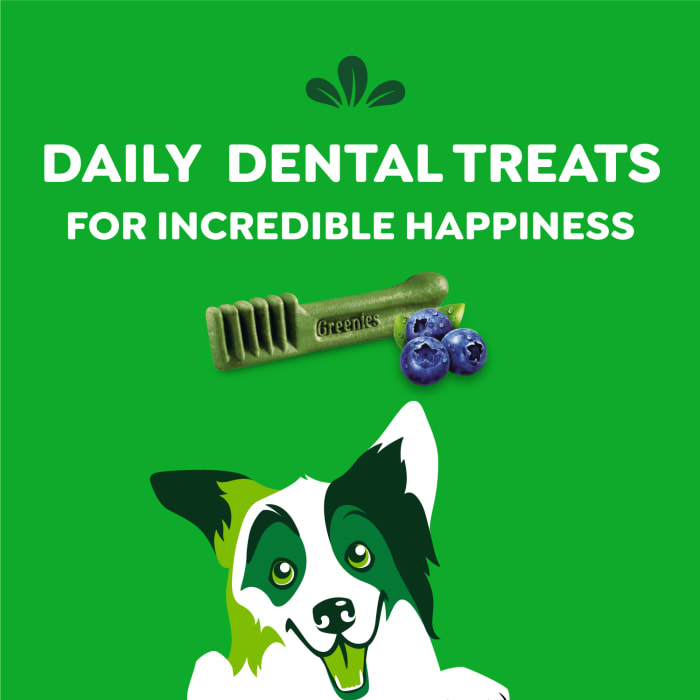 Greenies Dog Dental Treats Regular Blueberry 12oz (12 Treats)