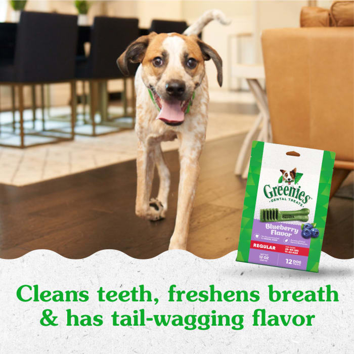 Greenies Dog Dental Treats Regular Blueberry 12oz (12 Treats)