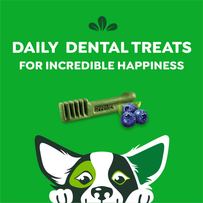 Greenies Dog Natural Dental Treats Petite Blueberry 12oz (20 Treats)