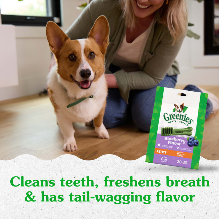 Greenies Dog Natural Dental Treats Petite Blueberry 12oz (20 Treats)
