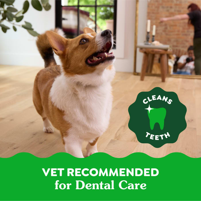 Greenies Dog Natural Dental Treats Petite Blueberry 12oz (20 Treats)