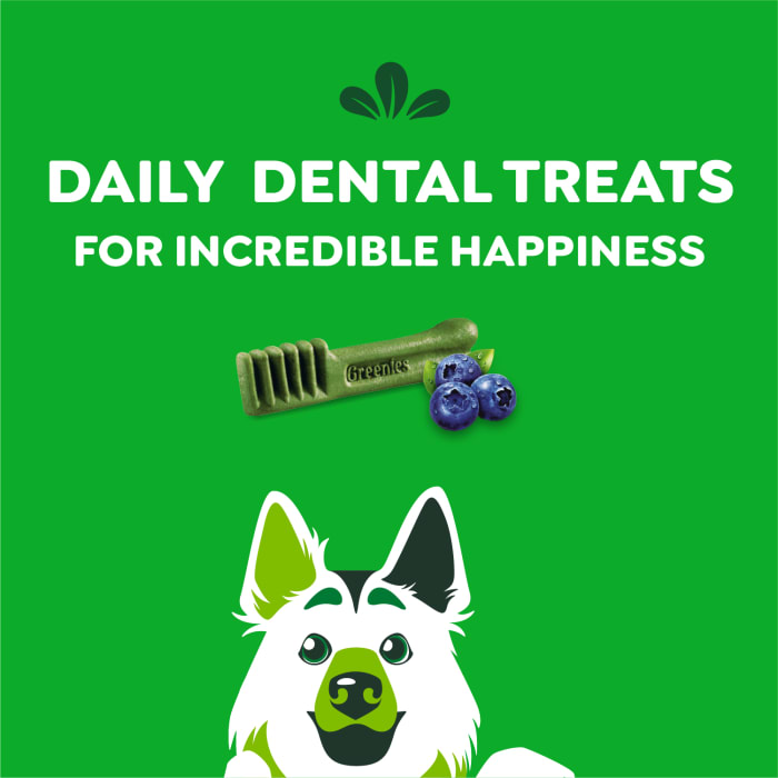 Greenies Dog Natural Dental Treats Large Blueberry 12oz (8 Treats)