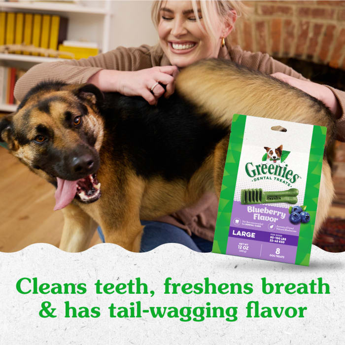 Greenies Dog Natural Dental Treats Large Blueberry 12oz (8 Treats)