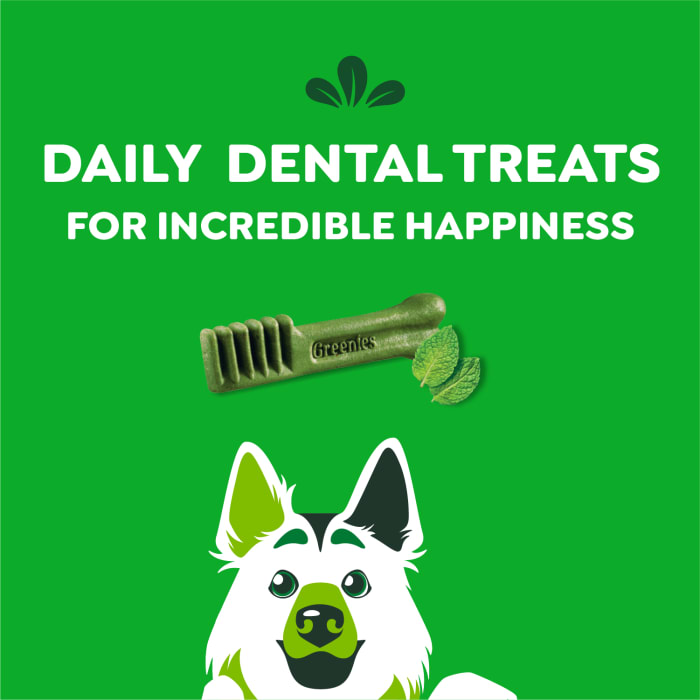Greenies Dog Natural Dental Treats Large Fresh 12oz (8 Treats)