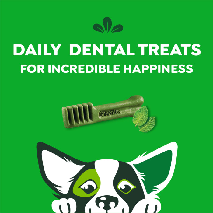 Greenies Dog Natural Dental Treats Petite Fresh 12oz (20 Treats)