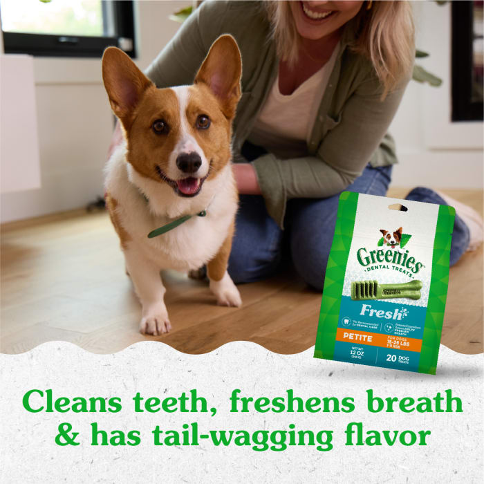 Greenies Dog Natural Dental Treats Petite Fresh 12oz (20 Treats)