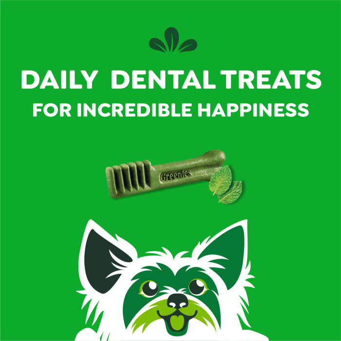 Greenies Dog Natural Dental Treats Teenie Fresh 12oz (43 Treats)