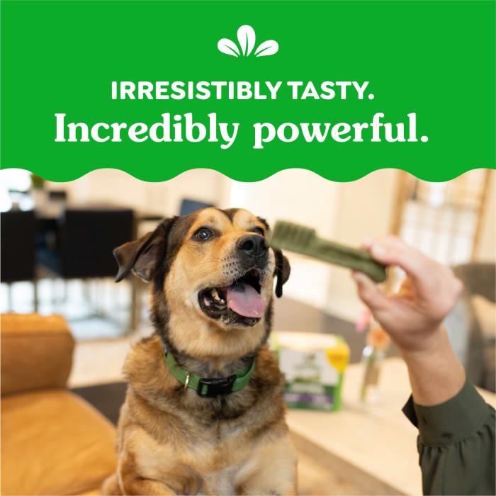 Greenies Dog Natural Dental Treats Large Original 12oz (8 Treats)