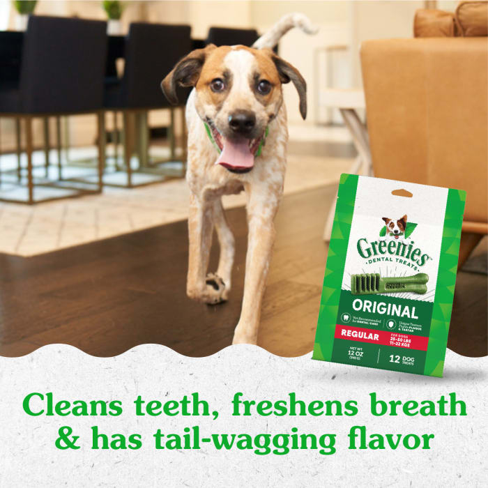 Greenies Dog Dental Treats Regular Original 12oz (12 Treats)