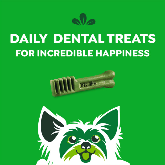 Greenies Dog Natural Dental Treats Teenie Original 6oz (22 Treats)