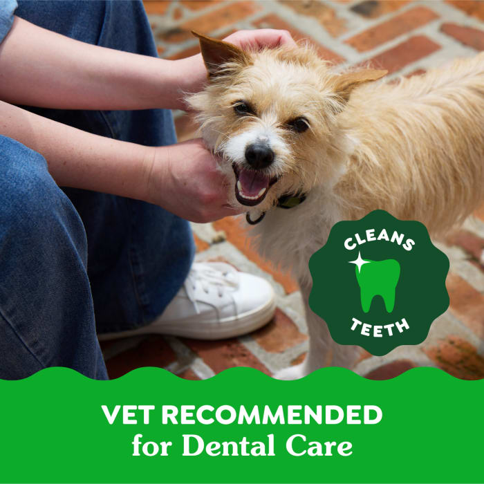 Greenies Dog Natural Dental Treats Teenie Original 6oz (22 Treats)