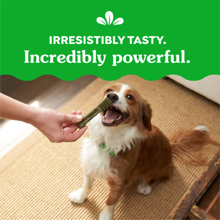 Greenies Dog Natural Dental Treats Petite Original 12oz (20 Treats)