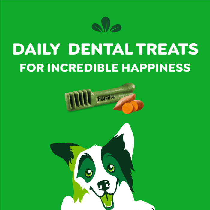 Greenies Dog Dental Treats Regular Sweet Potato 12oz (Pack of 12)