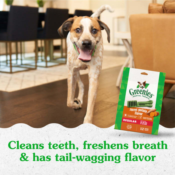 Greenies Dog Dental Treats Regular Sweet Potato 12oz (Pack of 12)