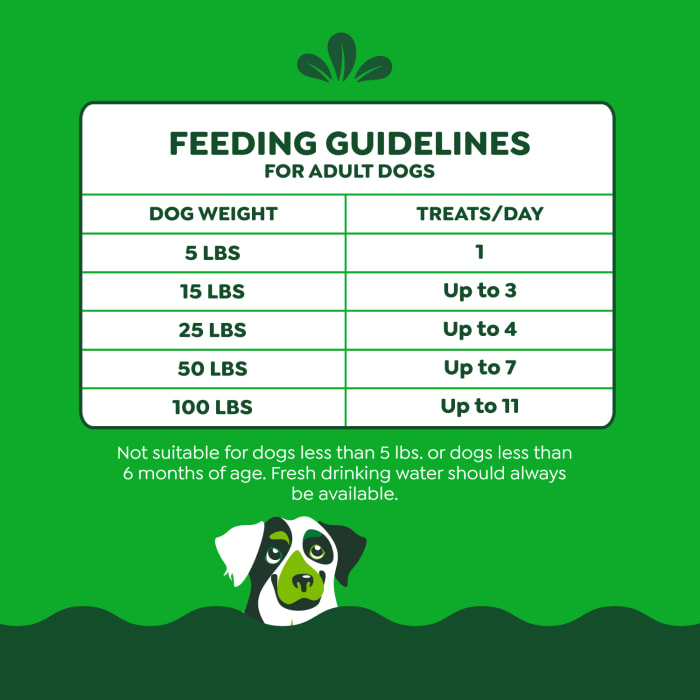 Greenies Anytime Bites Bite-Size Dog Dental Treats Original 10.3oz
