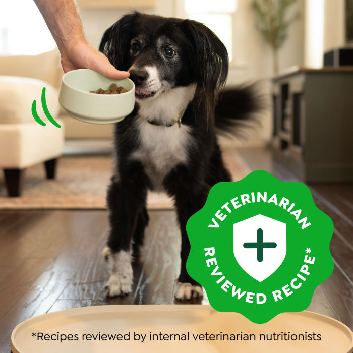 Greenies Smart Essentials Adult Dry Dog Food Real Chicken & Rice Recipe 15lbs