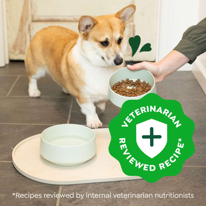Greenies Smart Essentials Small Breed Adult Dry Dog Food Real Chicken & Rice Recipe 5.5lbs