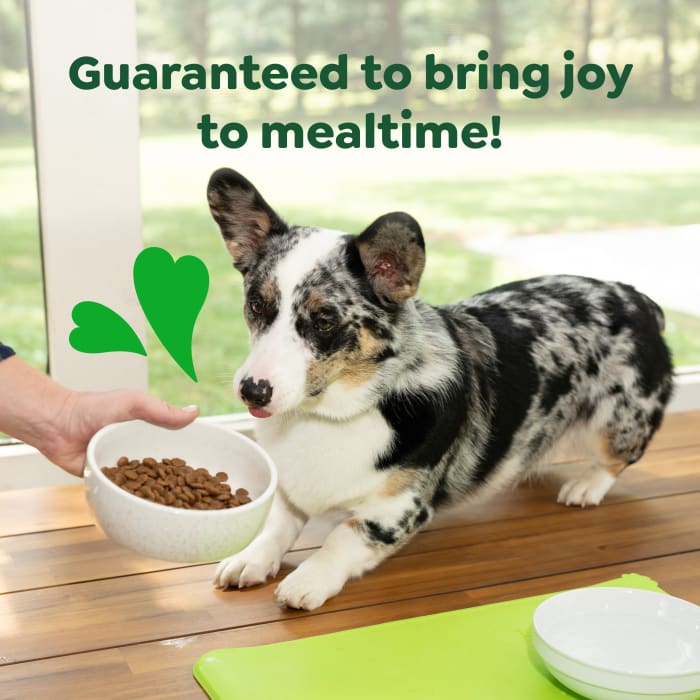 Greenies Smart Essentials Small Breed Adult Dry Dog Food Real Chicken & Rice Recipe 27lbs