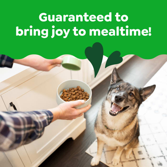 Greenies Smart Essentials Adult Large Breed Dry Dog Food Real Chicken & Rice Recipe 15lbs