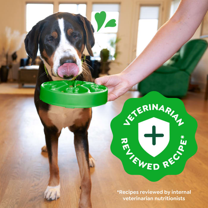 Greenies Smart Essentials Adult Large Breed Dry Dog Food Real Chicken & Rice Recipe 15lbs