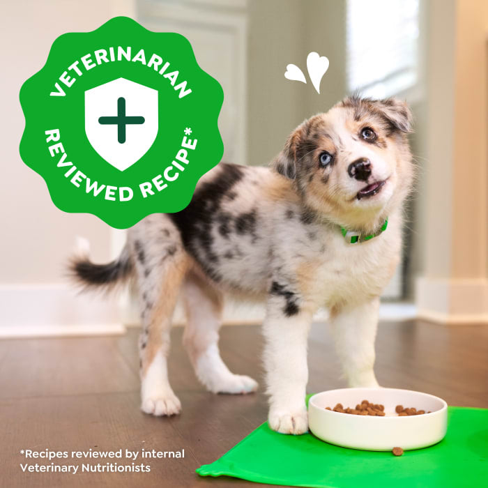 Greenies Smart Essentials Puppy High Protein Dry Dog Food Real Chicken & Brown Rice Recipe 5.5lbs