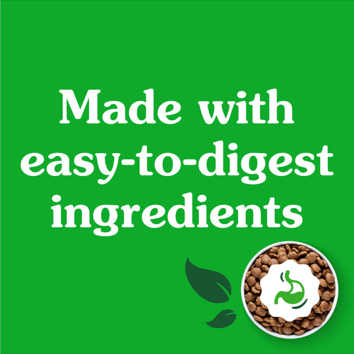 Greenies Smart Essentials Sensitive Digestion & Skin Dry Dog Food Real Lamb & Brown Rice Recipe 30lbs