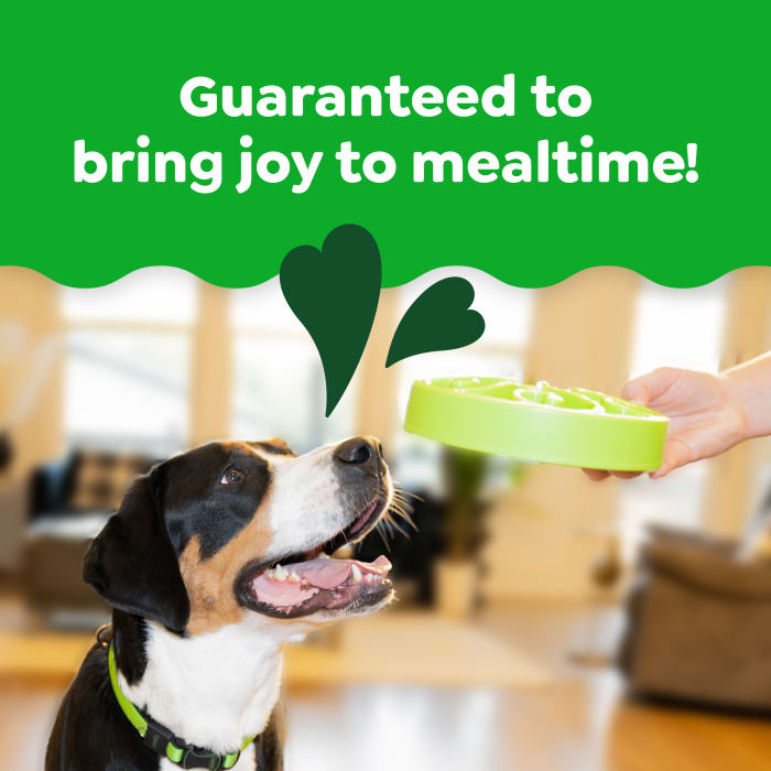 Greenies Smart Essentials Sensitive Digestion & Skin Dry Dog Food Real Lamb & Brown Rice Recipe 30lbs