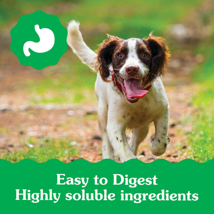 Greenies Puppy 6+ Months Dog Dental Treats Regular 12oz (12 Treats)