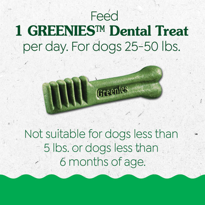 Greenies Puppy 6+ Months Dog Dental Treats Regular 12oz (12 Treats)