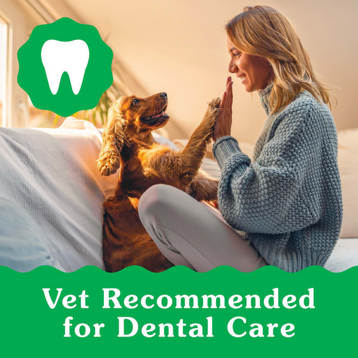 Greenies Puppy 6+ Months Dog Dental Treats Regular 12oz (12 Treats)