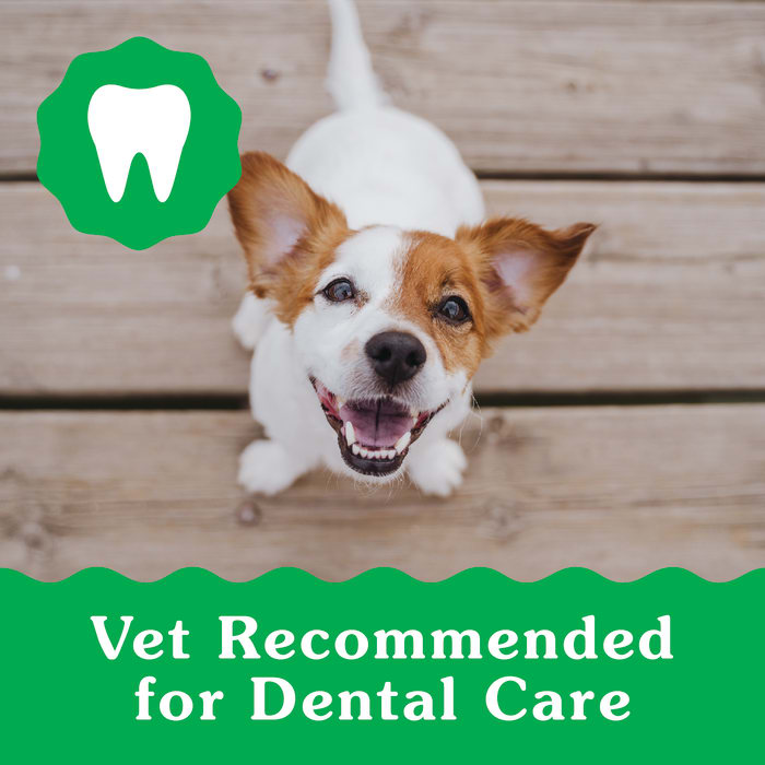 Greenies Puppy 6+ Months Dog Dental Treats Teenie 12oz (43 Treats)