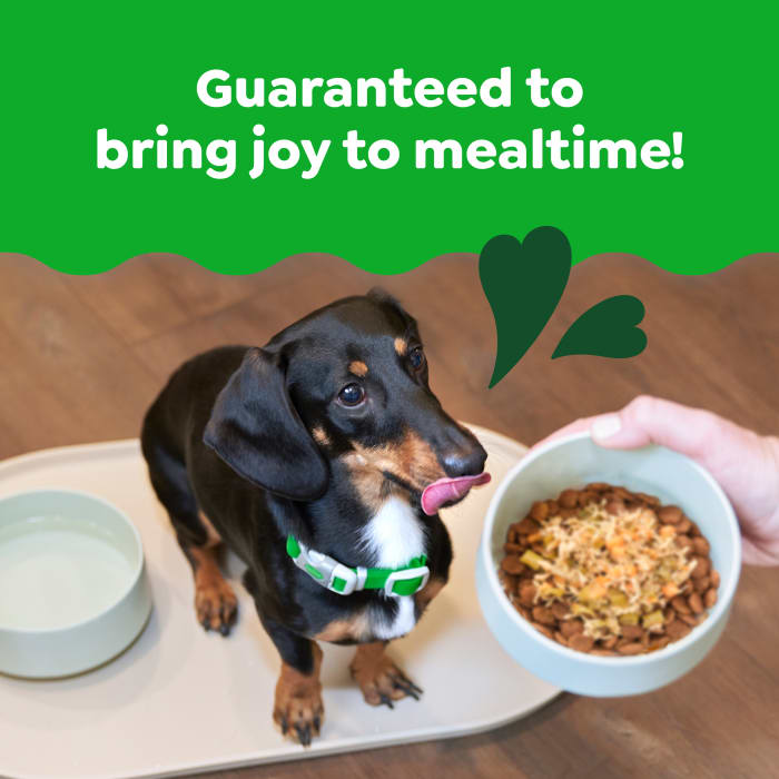 Greenies Smart Topper Wet Mix-In for Dogs Chicken, Green Beans & Sweet Potatoes Recipe 2oz (Pack of 10)