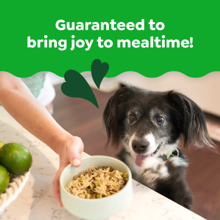 Greenies Smart Topper Wet Mix-In for Dogs Chicken, Peas, Apples & Brown Rice Recipe 2oz (Pack of 10)
