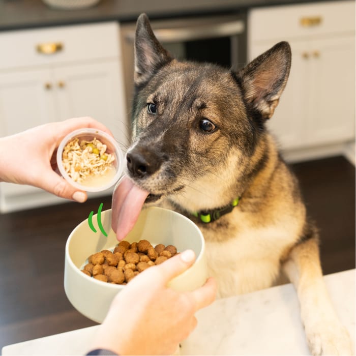 Greenies Smart Topper Wet Mix-In for Dogs Chicken, Peas, Apples & Brown Rice Recipe 2oz (Pack of 10)