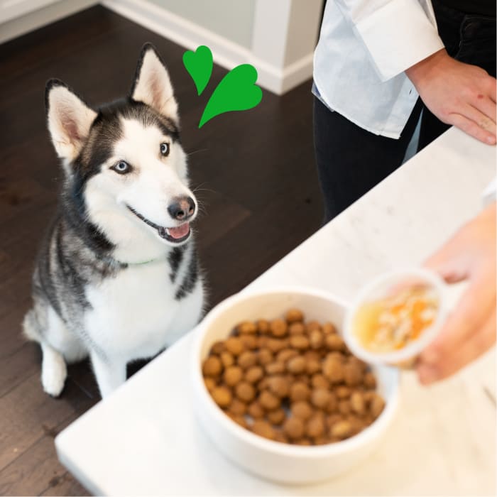 Greenies Smart Topper Wet Mix-In for Dogs, Duck, Broccoli, Carrots & Barley Recipe 2oz (Pack of 10)
