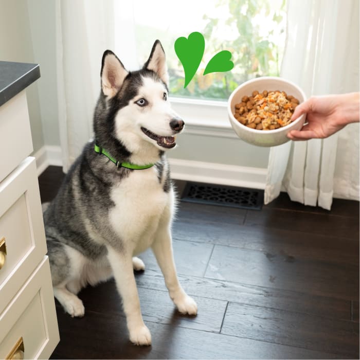 Greenies Smart Topper Wet Mix-In for Dogs Chicken, Beef, Sweet Potatoes, Potatoes & Spinach Recipe 2oz (Pack of 10)