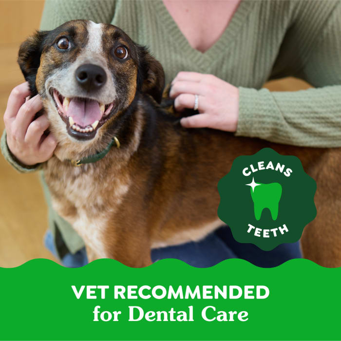 Greenies Dog Dental Treats Regular Original 54oz (54 Count)