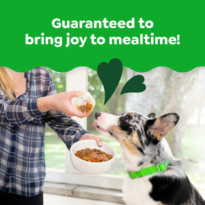 Greenies Smart Topper Wet Mix-In for Dogs Chicken with Green Beans & Beef Variety Pack 2oz (Pack of 8)
