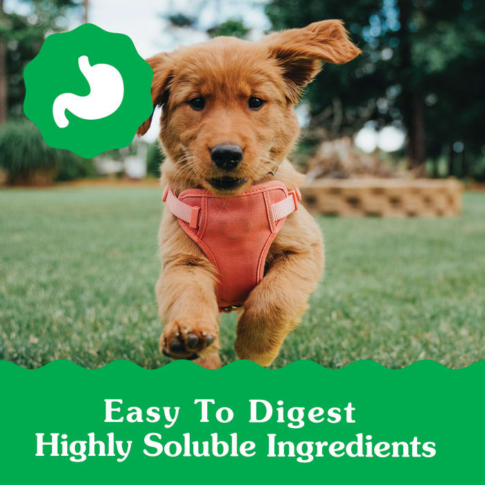 Greenies Puppy 6+ Months Dog Dental Treats Petite 12oz (20 Treats)