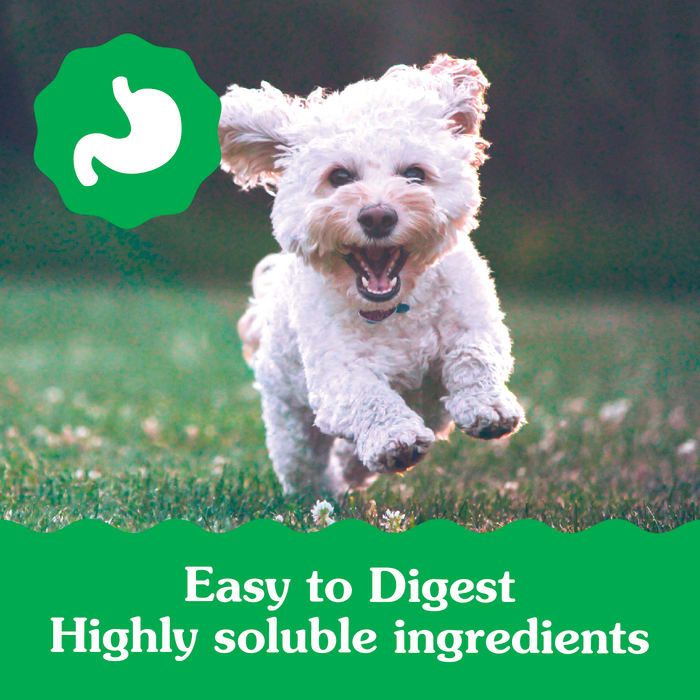 Greenies Puppy 6+ Months Dog Dental Treats Teenie 6oz (22 Treats)