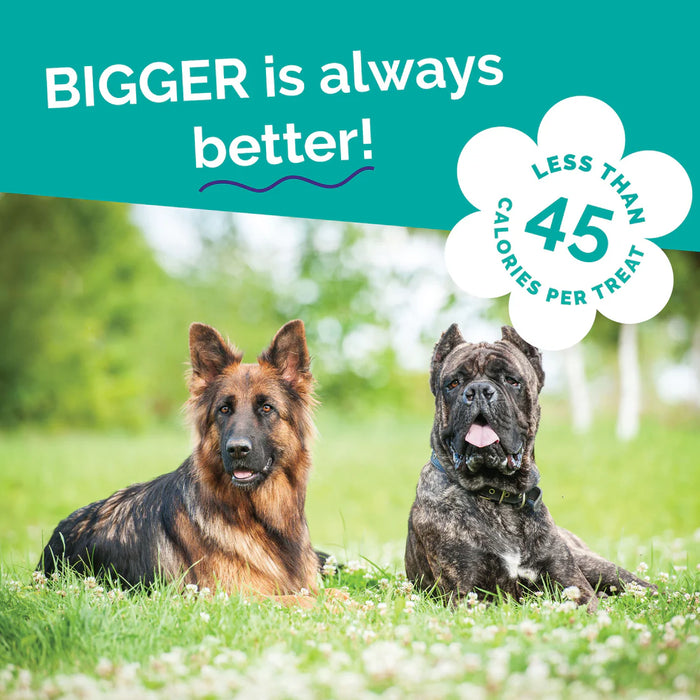 Fruitables Biggies Dog Treats Almond Butter & Coconut 16oz