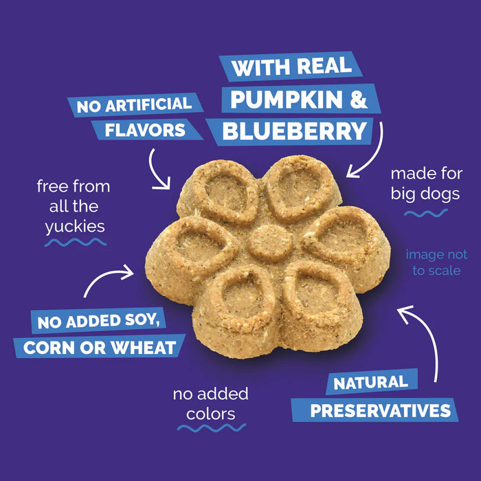Fruitables Biggies Dog Treats Pumpkin & Blueberry 16oz