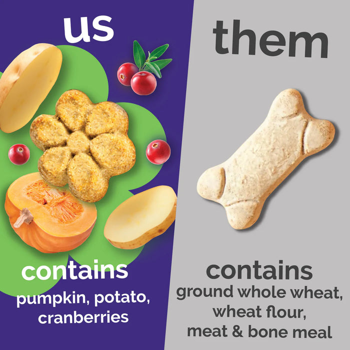 Fruitables Crunchy Baked Dog Treats Pumpkin & Cranberry 7oz