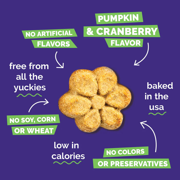 Fruitables Crunchy Baked Dog Treats Pumpkin & Cranberry 7oz