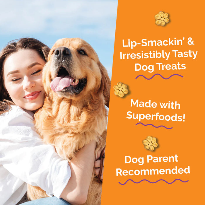 Fruitables Crunchy Baked Dog Treats Sweet Potato & Pecan 7oz