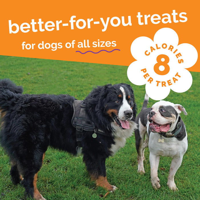 Fruitables Crunchy Baked Dog Treats Sweet Potato & Pecan 7oz